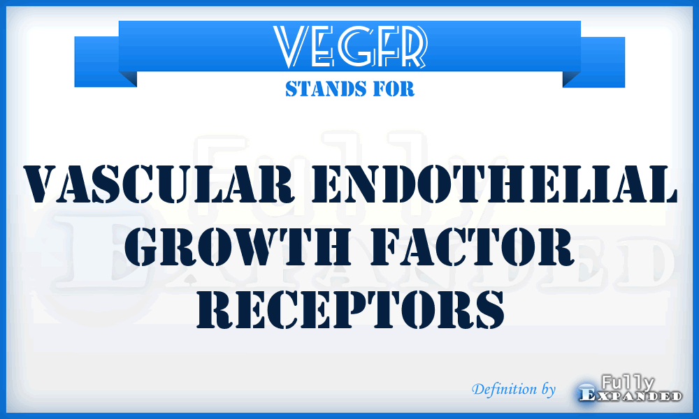 VEGFR - vascular endothelial growth factor receptors