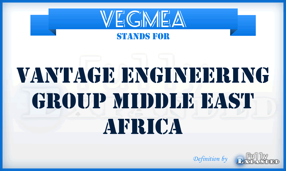 VEGMEA - Vantage Engineering Group Middle East Africa