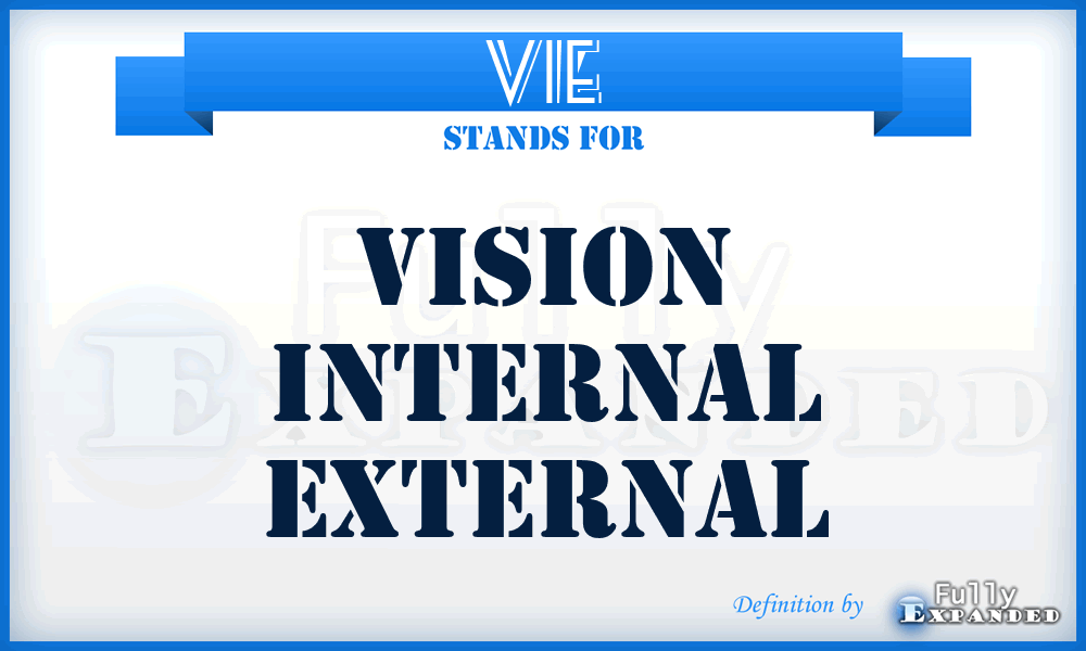 VIE - Vision Internal External