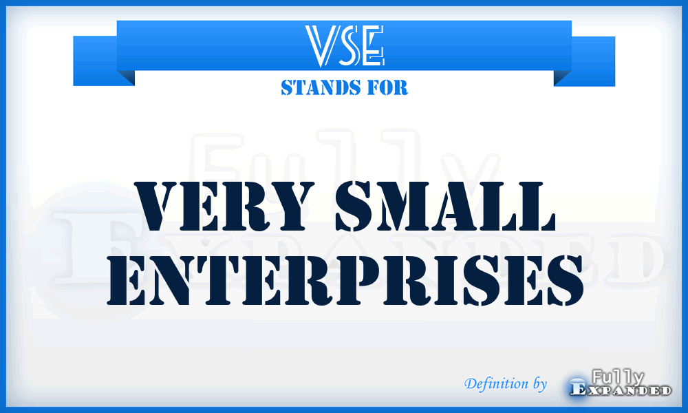 VSE - Very Small Enterprises