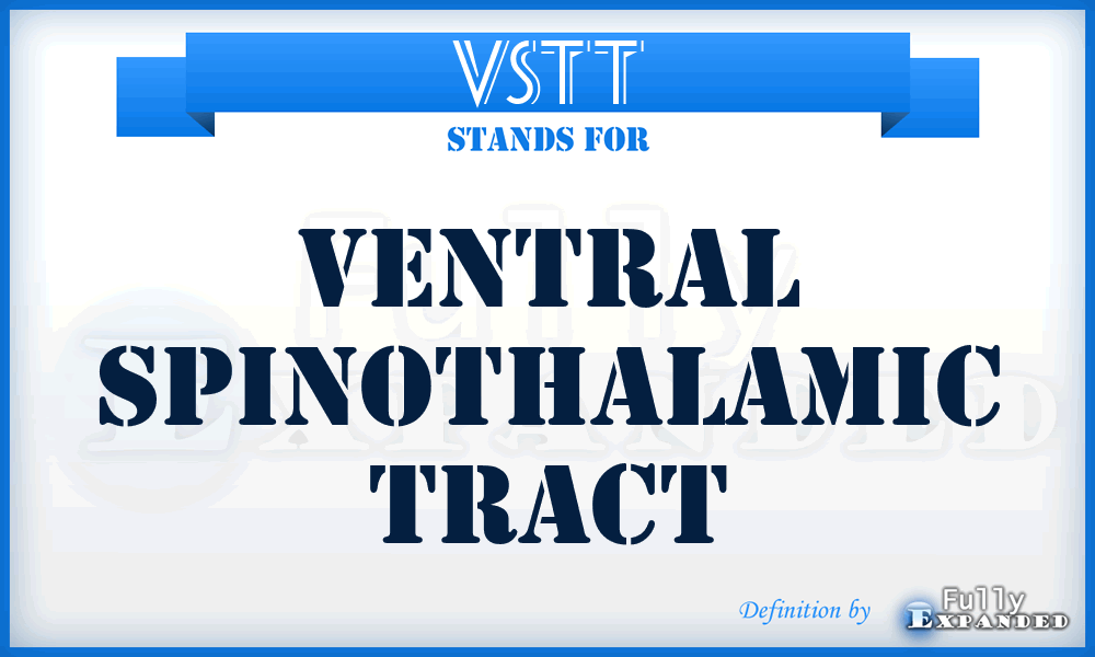 VSTT - Ventral spinothalamic tract