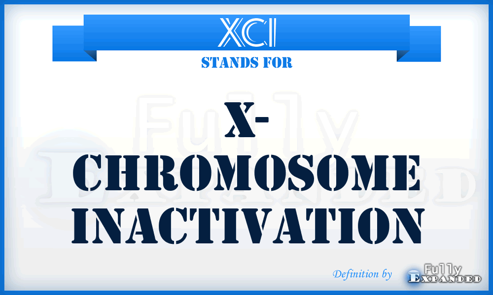 XCI - X- Chromosome Inactivation