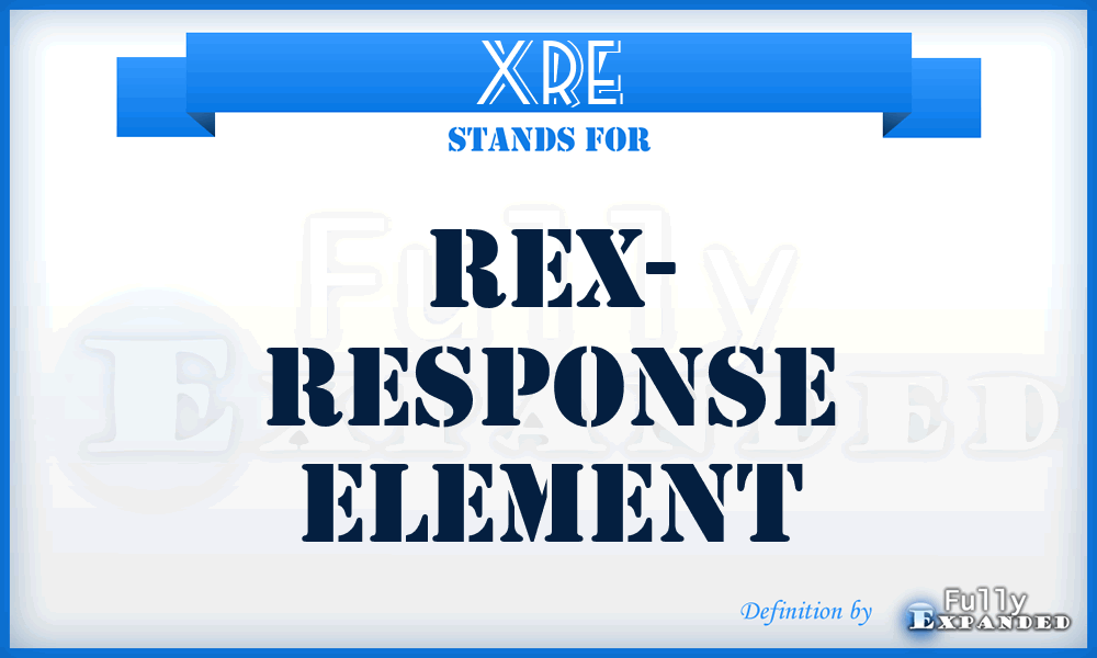 XRE - Rex- Response Element