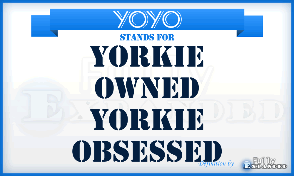 YOYO - Yorkie Owned Yorkie Obsessed