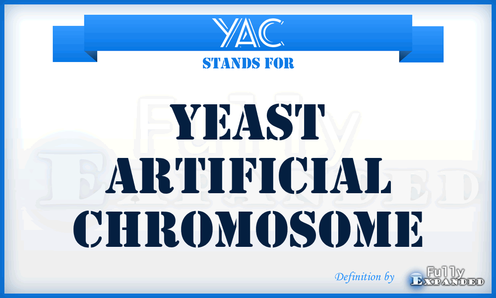 YAC - Yeast Artificial Chromosome