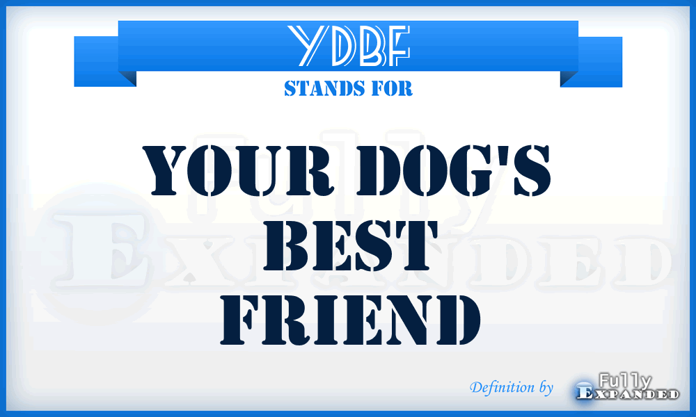 YDBF - Your Dog's Best Friend