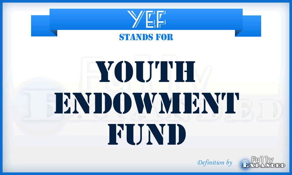 YEF - Youth Endowment Fund