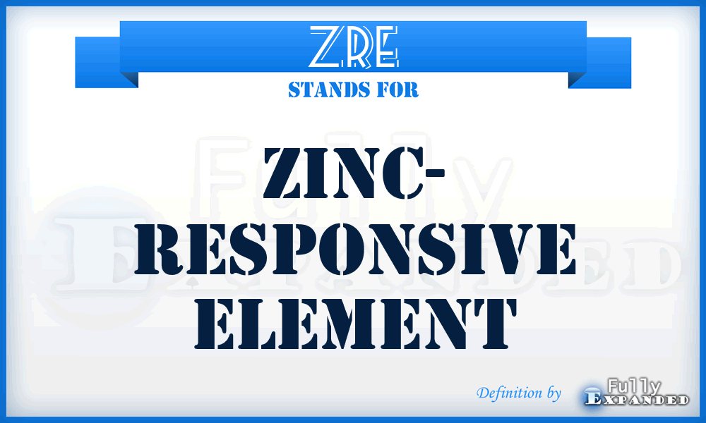 ZRE - Zinc- Responsive Element